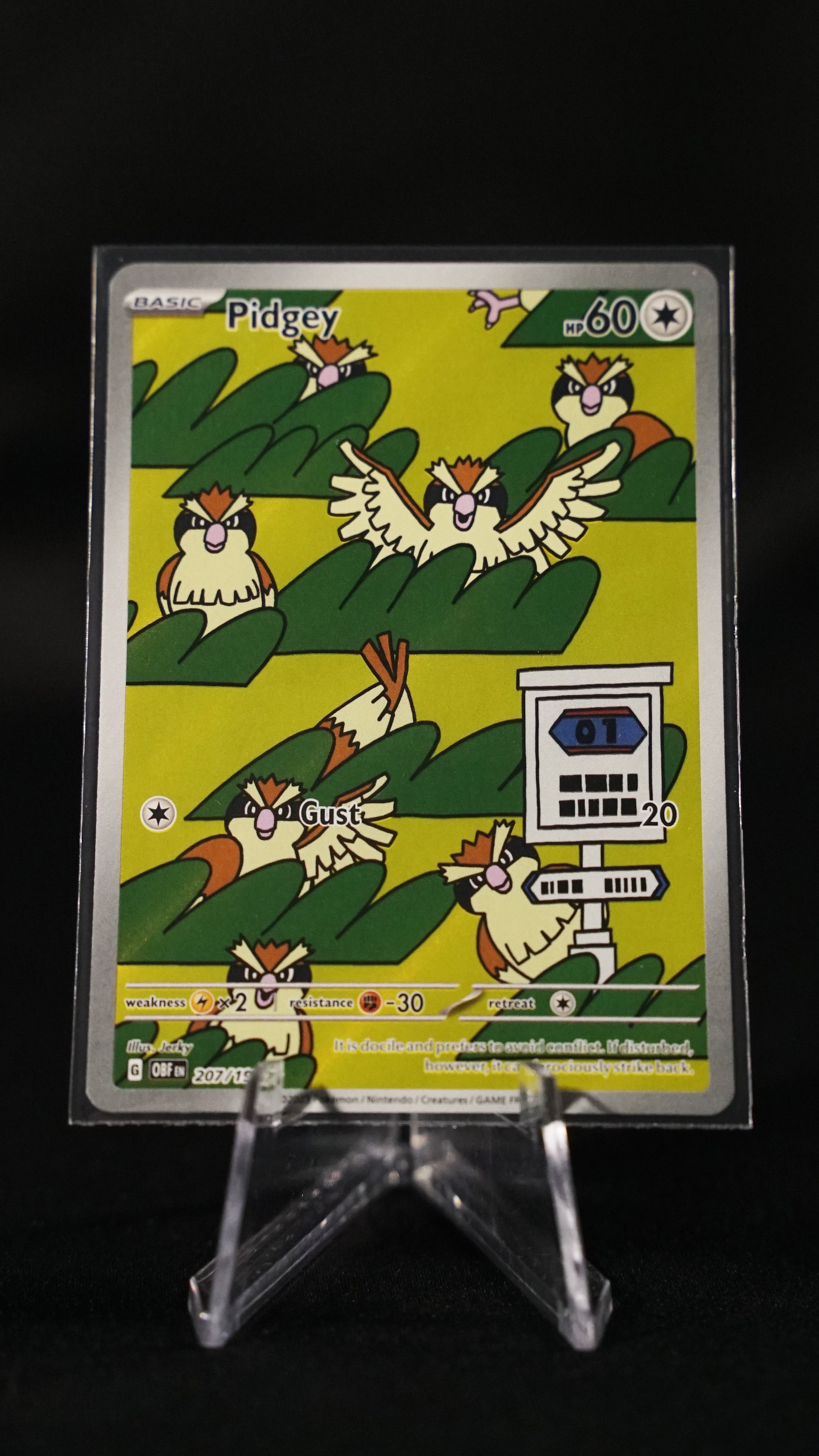 Pidgey IR 207/197